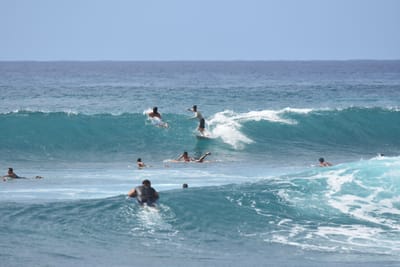 DSC_0055.JPG