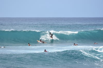 DSC_0059.JPG