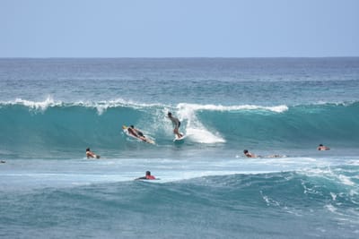DSC_0060.JPG