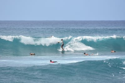 DSC_0062.JPG