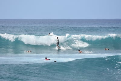 DSC_0063.JPG
