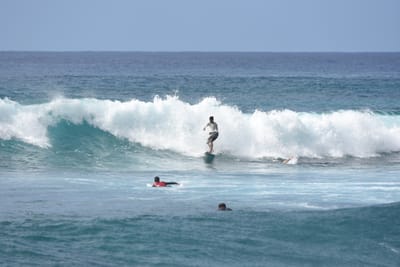 DSC_0065.JPG