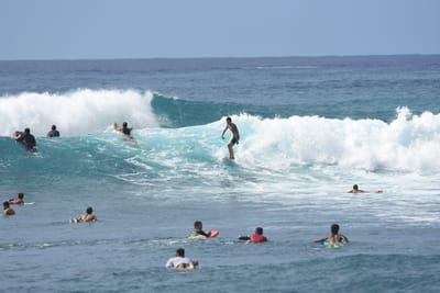 DSC_0071.JPG