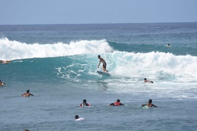 DSC_0073.JPG