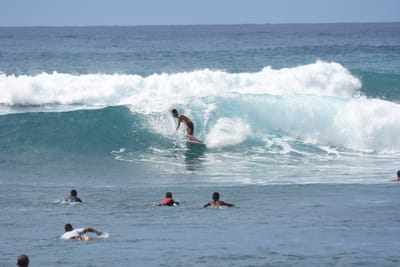 DSC_0083.JPG