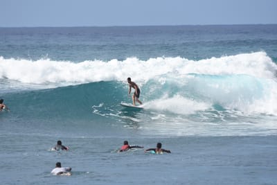 DSC_0084.JPG