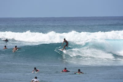 DSC_0086.JPG
