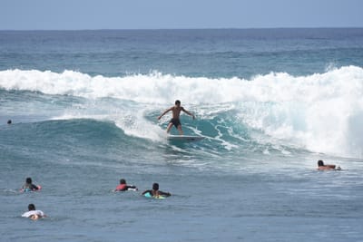 DSC_0090.JPG