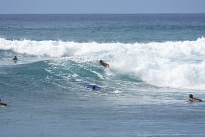 DSC_0095.JPG
