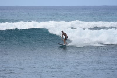 DSC_0098.JPG