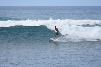 DSC_0099.JPG
