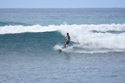 DSC_0100.JPG
