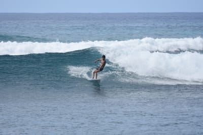 DSC_0101.JPG