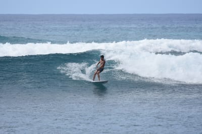 DSC_0102.JPG