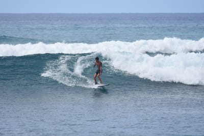 DSC_0103.JPG