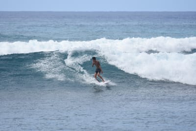 DSC_0104.JPG