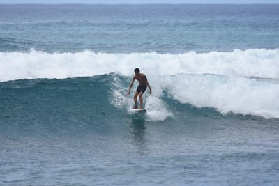 DSC_0110.JPG