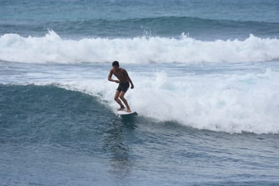 DSC_0120.JPG