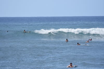 DSC_0130.JPG
