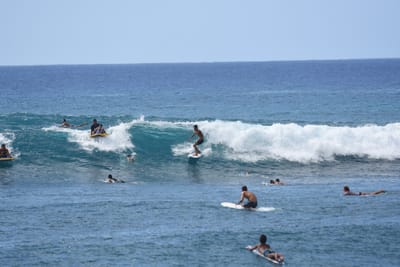 DSC_0137.JPG
