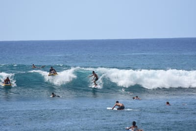 DSC_0138.JPG