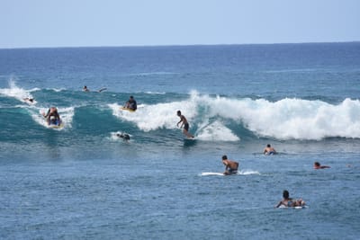 DSC_0140.JPG