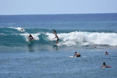 DSC_0142.JPG