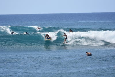 DSC_0143.JPG