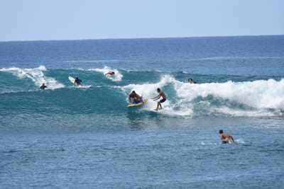 DSC_0144.JPG