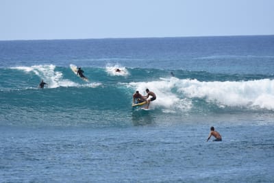 DSC_0145.JPG