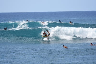DSC_0147.JPG