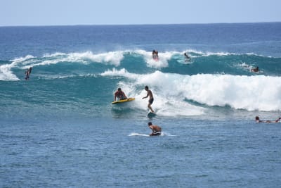 DSC_0151.JPG