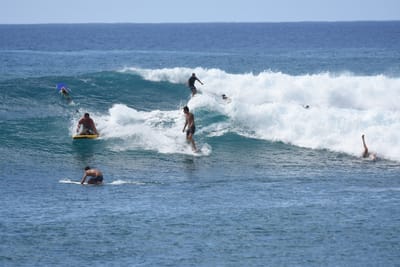 DSC_0153.JPG