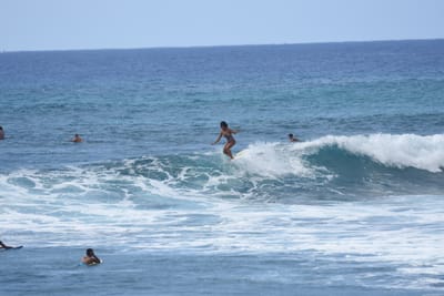 DSC_0155.JPG