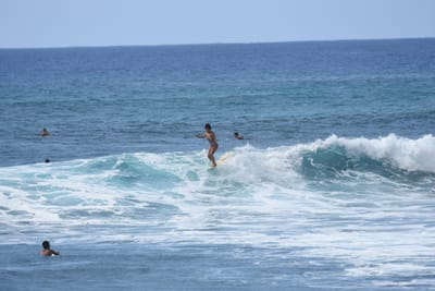 DSC_0156.JPG