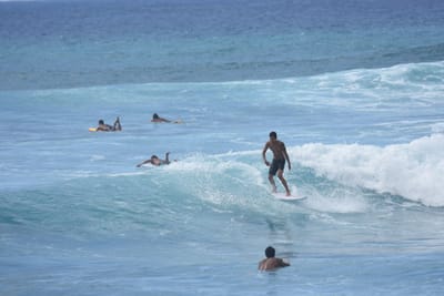 DSC_0159.JPG
