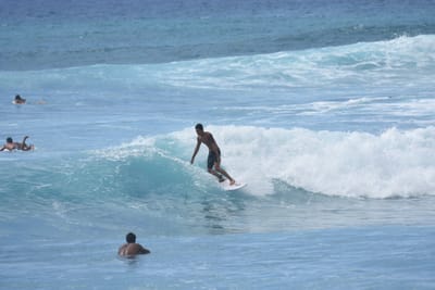 DSC_0160.JPG