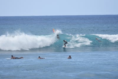 DSC_0183.JPG