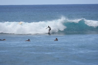 DSC_0185.JPG