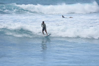 DSC_0195.JPG