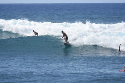 DSC_0200.JPG