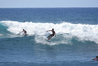 DSC_0202.JPG