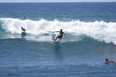 DSC_0203.JPG