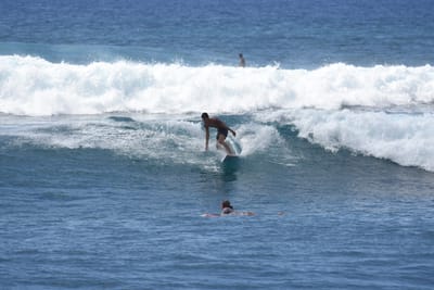 DSC_0208.JPG