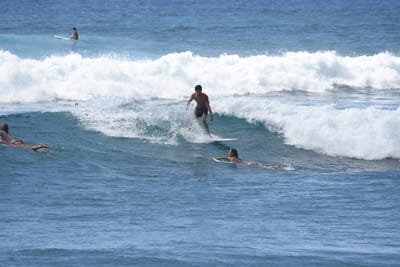 DSC_0212.JPG