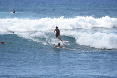 DSC_0213.JPG