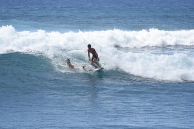 DSC_0214.JPG