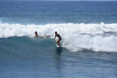 DSC_0217.JPG