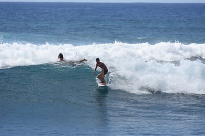 DSC_0218.JPG