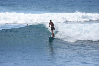 DSC_0220.JPG